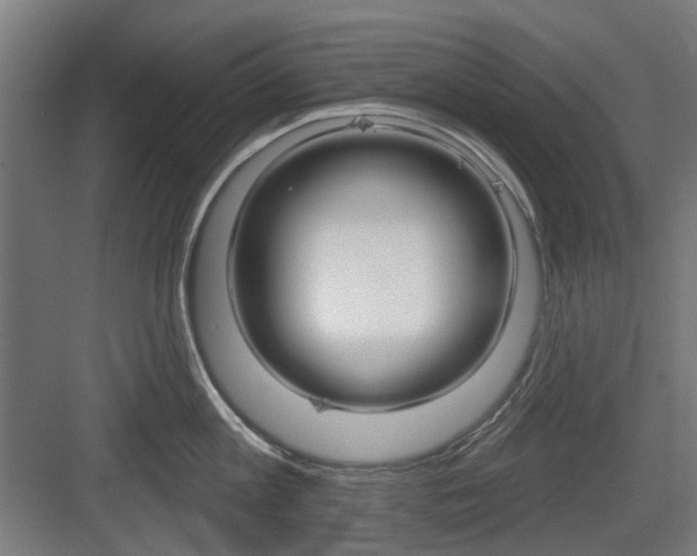 X0000083990813200702160729
