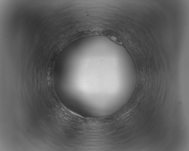 X0000083990818200702160728