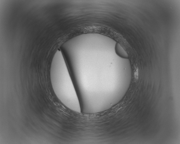 X0000083990819200702160728