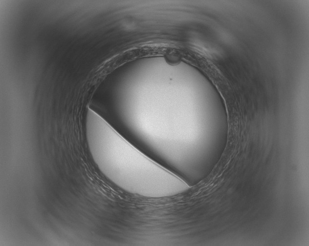 X0000083990821200702160728