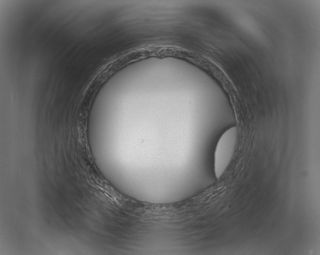 X0000083990823200702160728