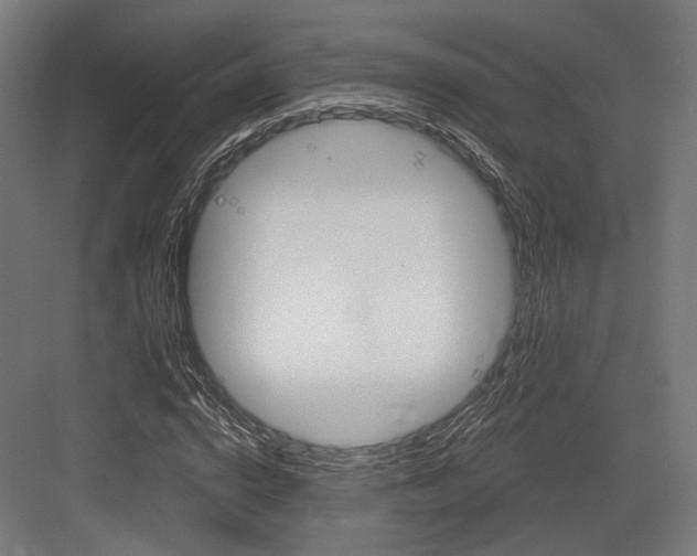 X0000083990824200702160728