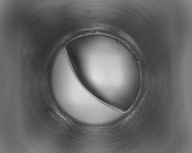 X0000083990826200702160728