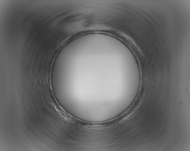 X0000083990833200702160728