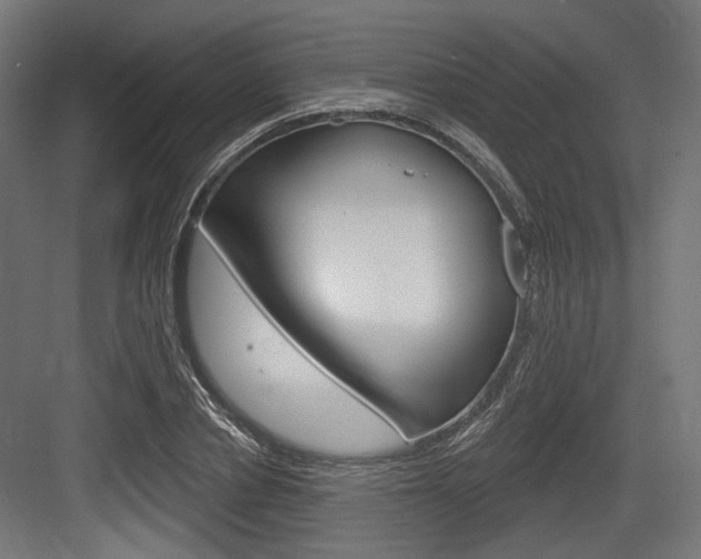 X0000083990834200702160728