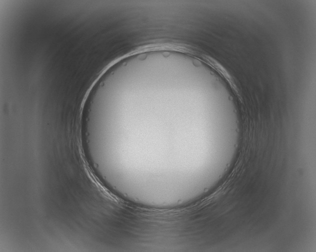X0000083990836200702160728