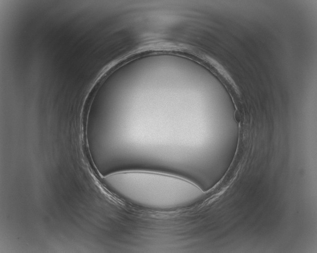 X0000083990837200702160728
