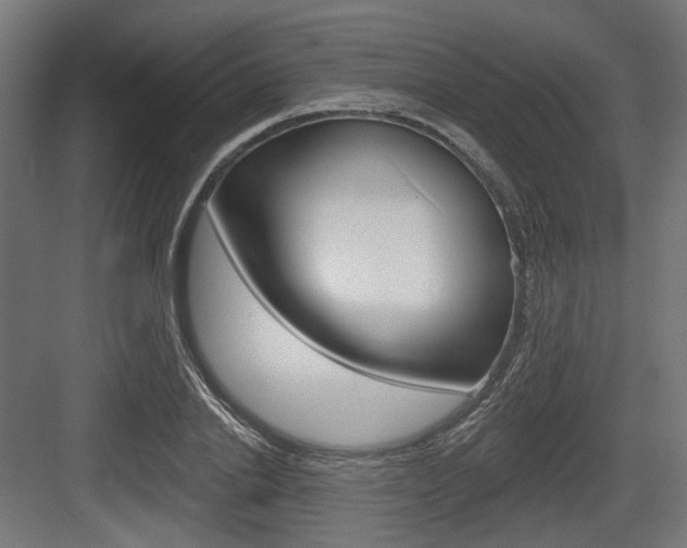 X0000083990838200702160728