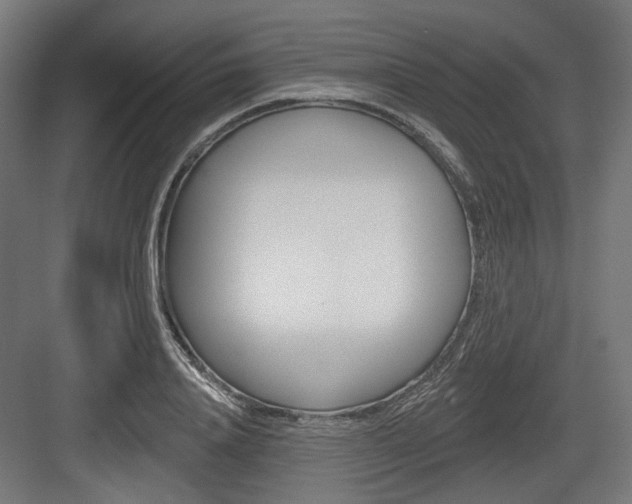 X0000083990840200702160728