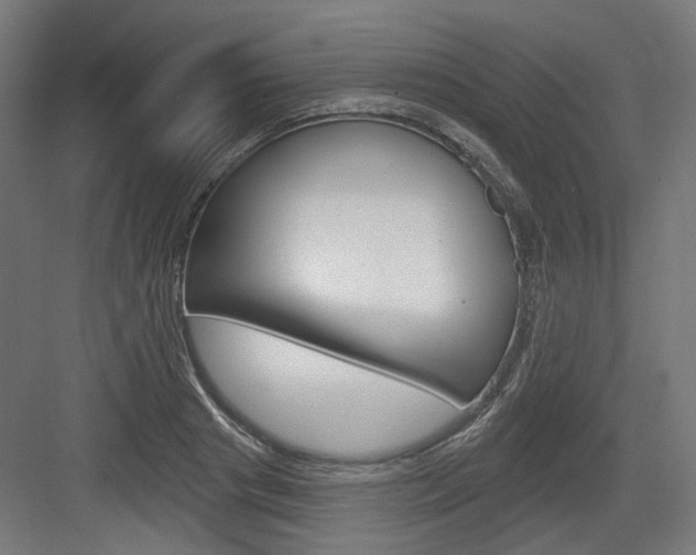 X0000083990841200702160728