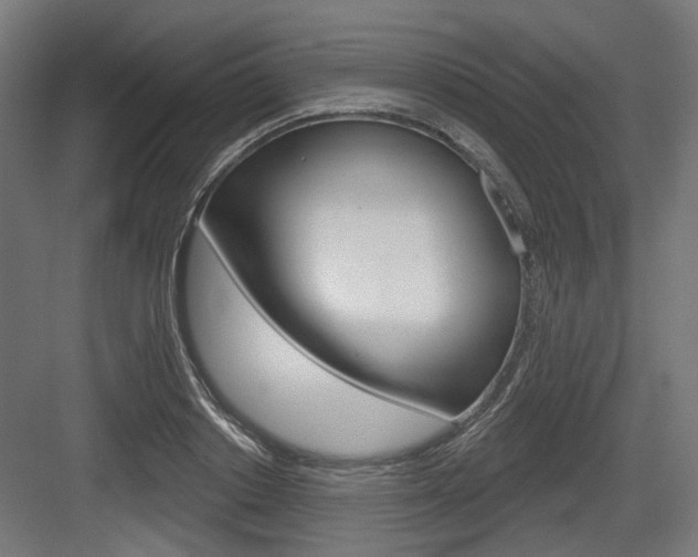 X0000083990842200702160728