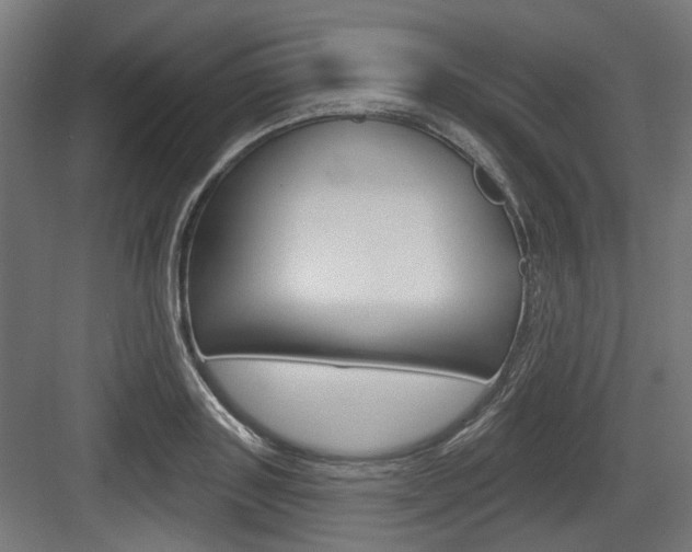 X0000083990843200702160728