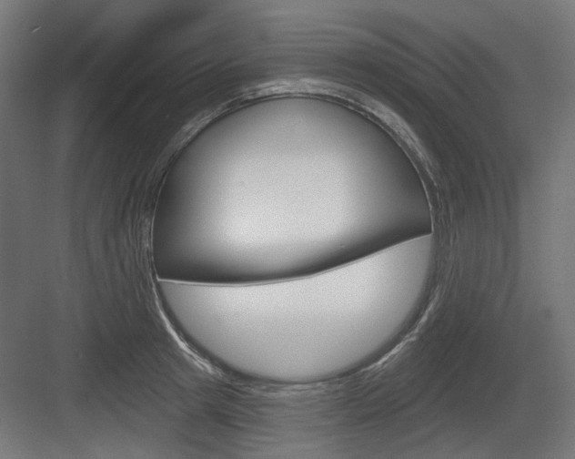 X0000083990849200702160729