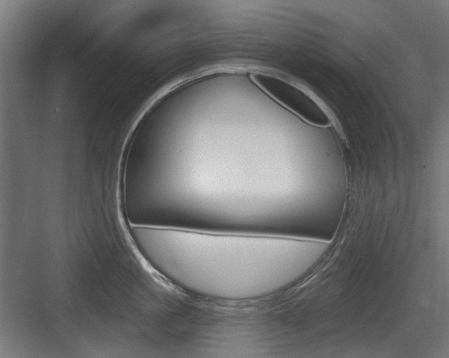 X0000083990861200702160729