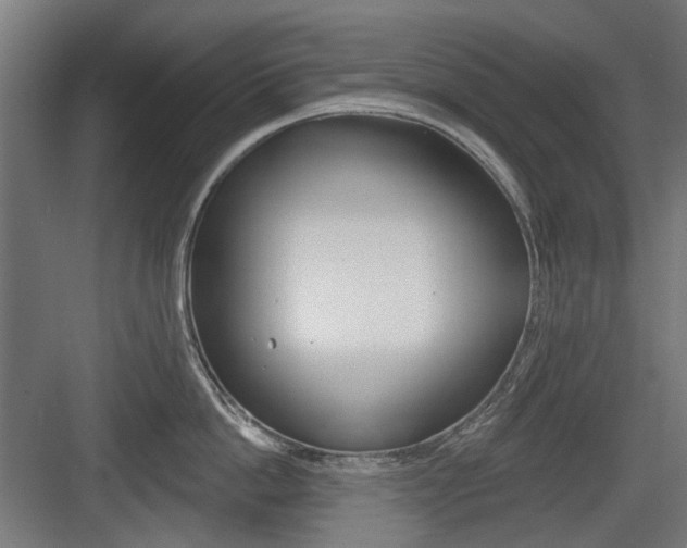 X0000083990862200702160729