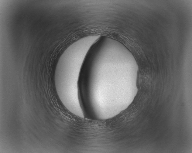 X0000083990865200702160728