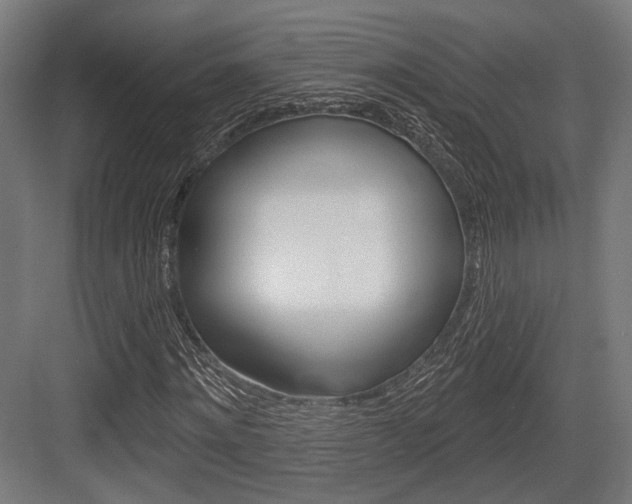 X0000083990868200702160728