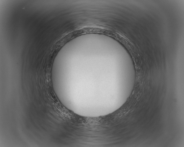 X0000083990870200702160728