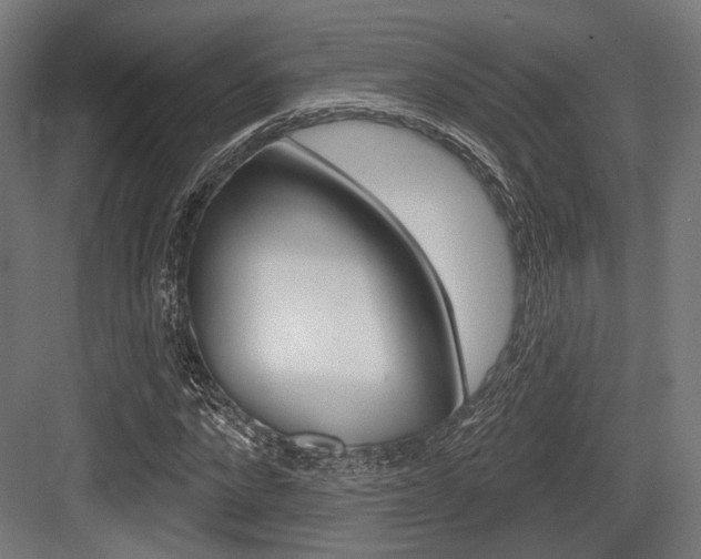 X0000083990872200702160728