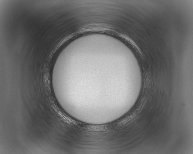 X0000083990874200702160728