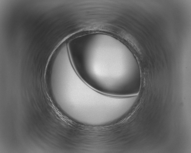 X0000083990876200702160728