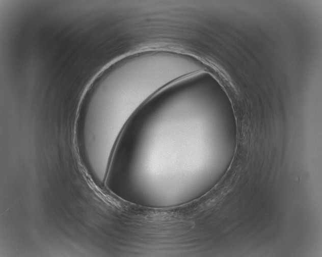 X0000083990880200702160728