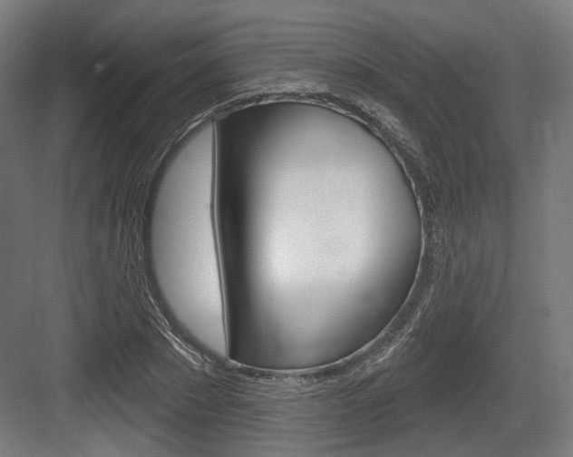 X0000083990881200702160728