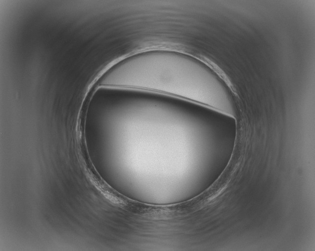 X0000083990885200702160728