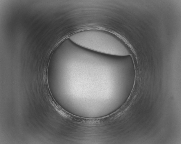 X0000083990889200702160728