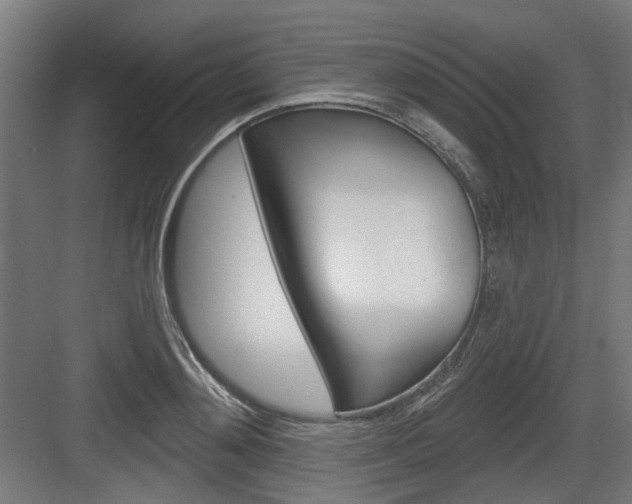 X0000083990892200702160728