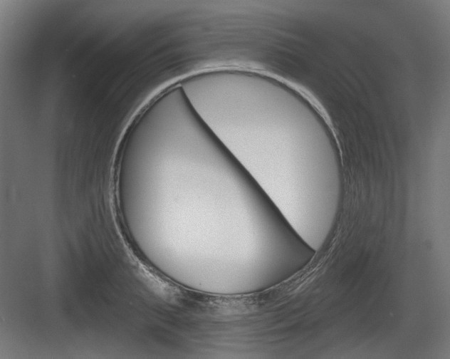 X0000083990895200702160728