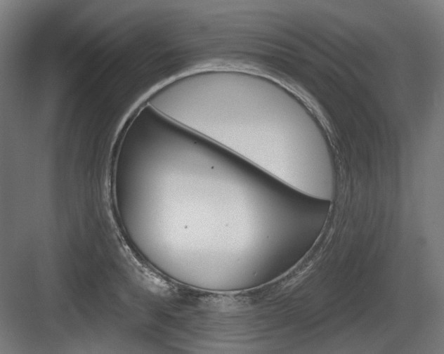 X0000083990896200702160728