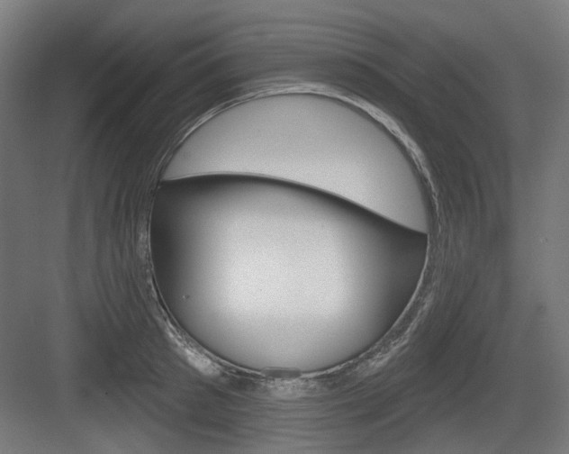 X0000083990897200702160728