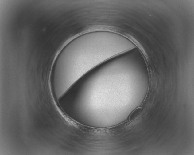 X0000083990901200702160727