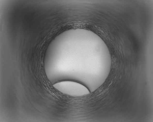 X0000083990913200702160726
