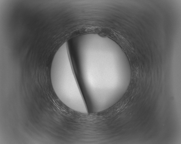 X0000083990914200702160726