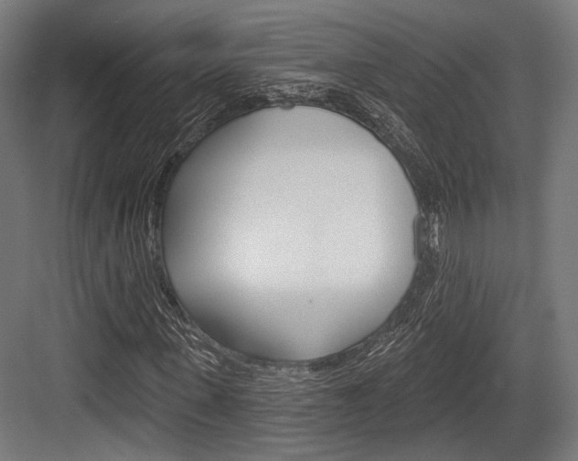 X0000083990915200702160726