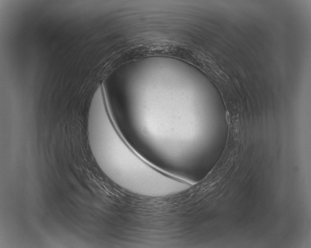 X0000083990916200702160726