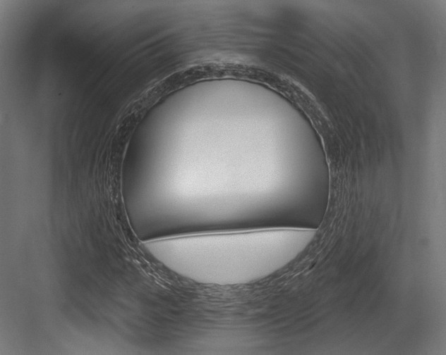 X0000083990919200702160727