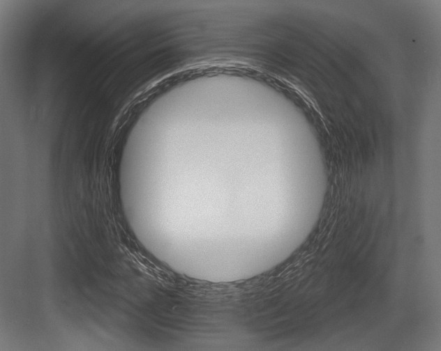 X0000083990920200702160727