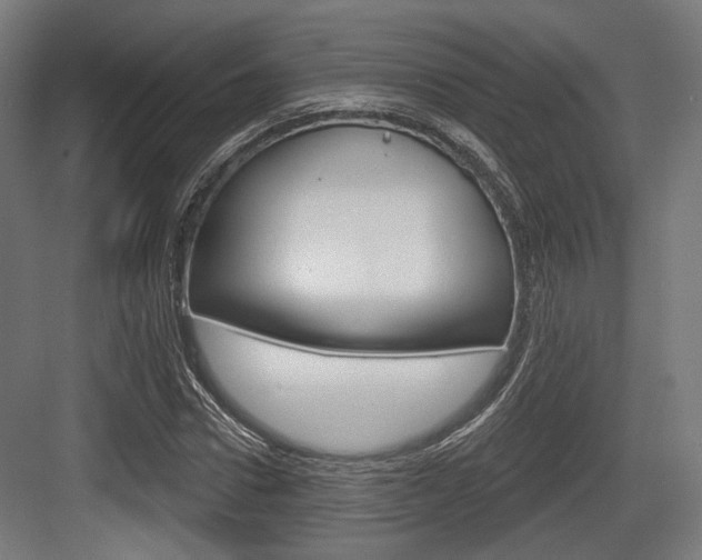 X0000083990922200702160727