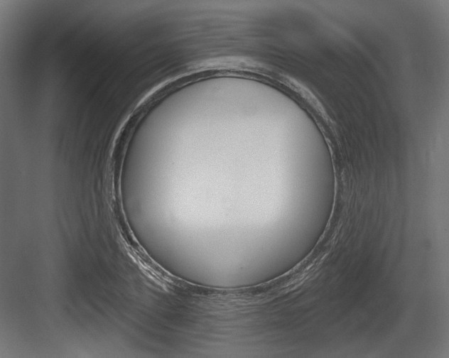 X0000083990931200702160727