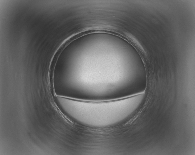 X0000083990932200702160727