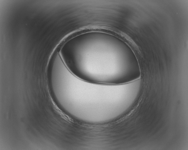 X0000083990934200702160727