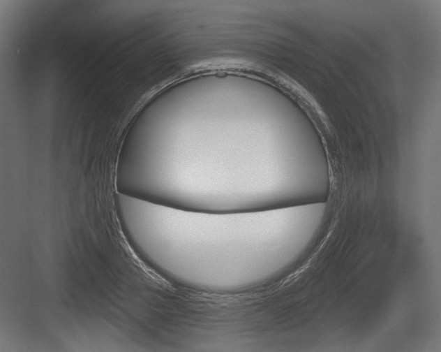 X0000083990937200702160727