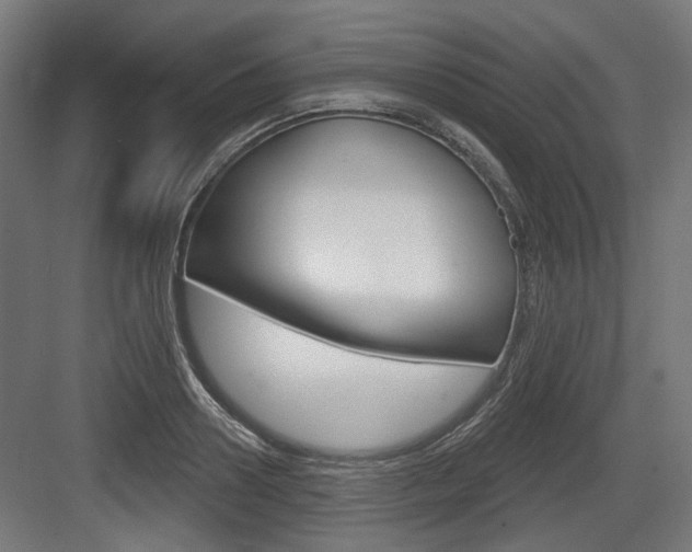 X0000083990938200702160727