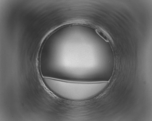 X0000083990944200702160727