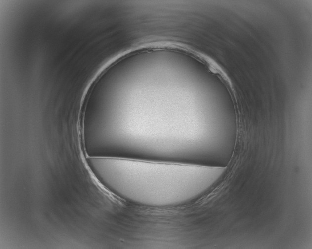 X0000083990951200702160727