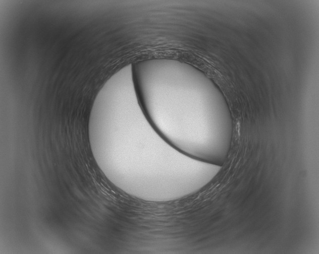 X0000083990963200702160726