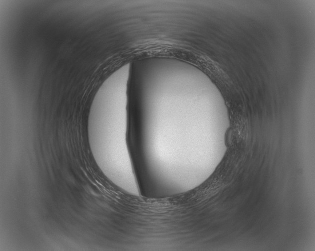 X0000083990964200702160726